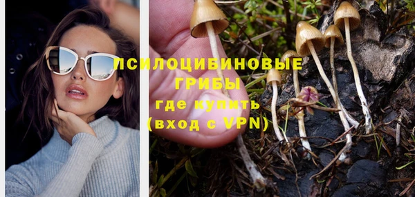 прущая мука Арсеньев