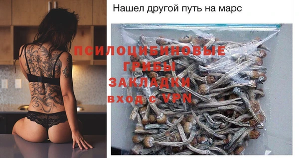 хмурый Армянск