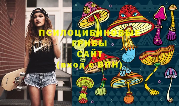 прущая мука Арсеньев