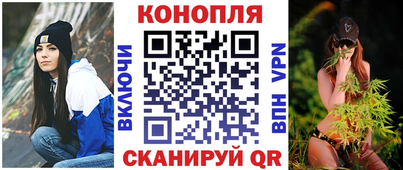 Бошки Шишки VHQ  ОМГ ОМГ онион  Бакал 